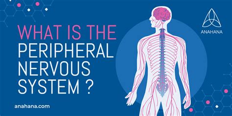 alluc the peripheral|The Peripheral .